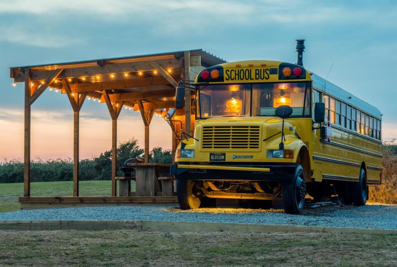 American School Bus - 1 Bedroom - Blossom Farm - Tiers Cross Johnston エクステリア 写真